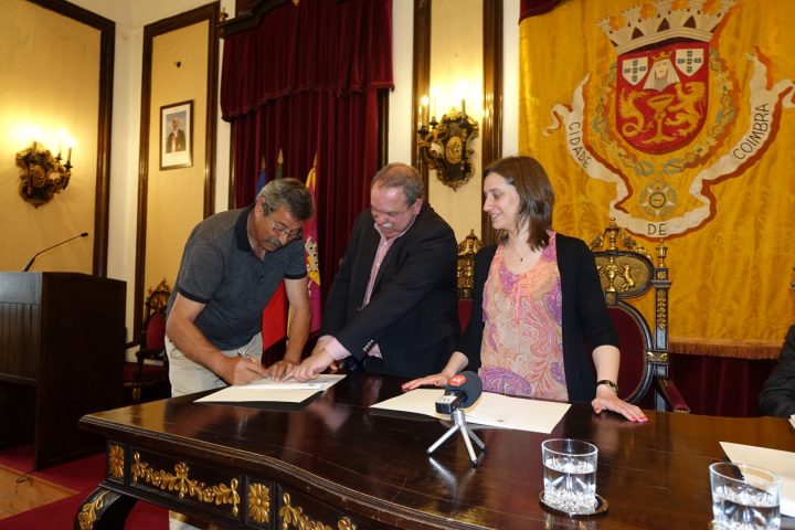 Protocolos 126 Large